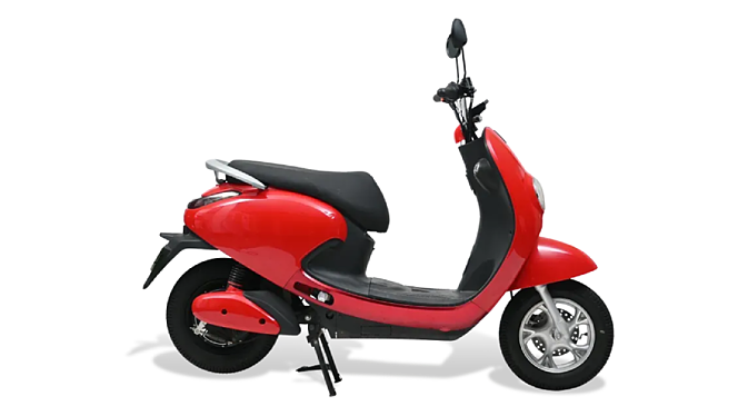 Evolet Pony image 1